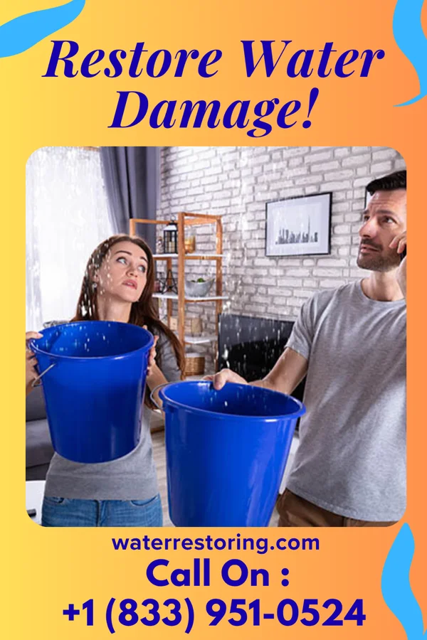 water restoration National Sewage Cleanup Brothers Rowan
