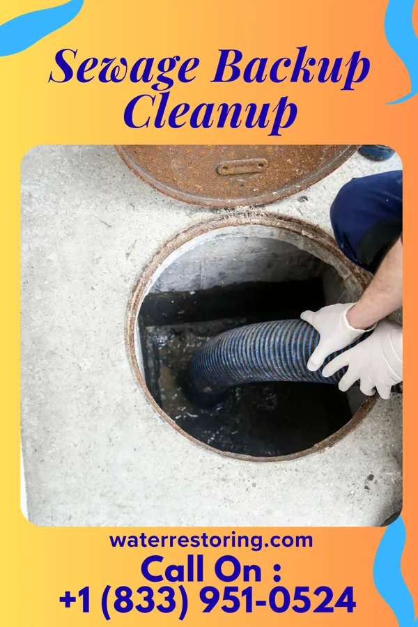 Sewage Backup Cleanup in Rowan, IA