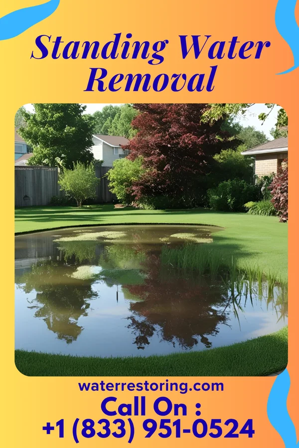 Standing Water Removal in Rowan, IA